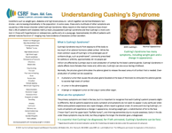 CSRF 2015 Brochure with symptoms list