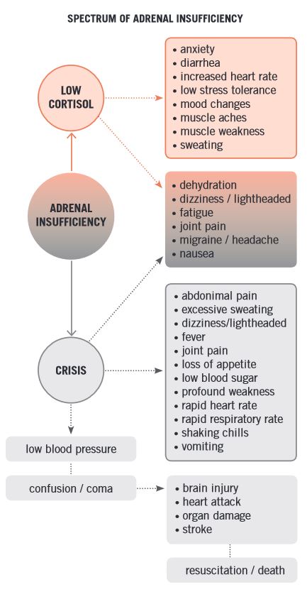 Adrenal Insufficiency in Adults, Stress Dosing, and Adrenal Crisis - CSRF -  Cushing's Support & Research Foundation